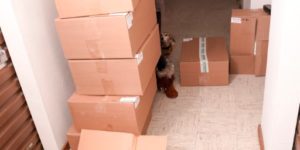 Downsizing a storage unit, and getting rid of clutter, in Santa Barbara.