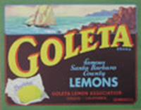 Citrus crate label